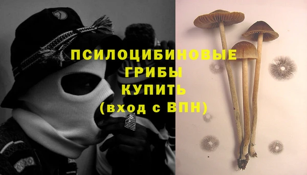 героин Алексин