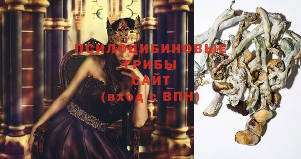 героин Алексин