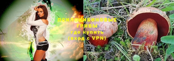 таблы Алзамай