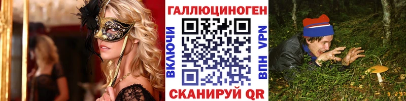 Галлюциногенные грибы Psilocybine cubensis  купить наркоту  Сельцо 
