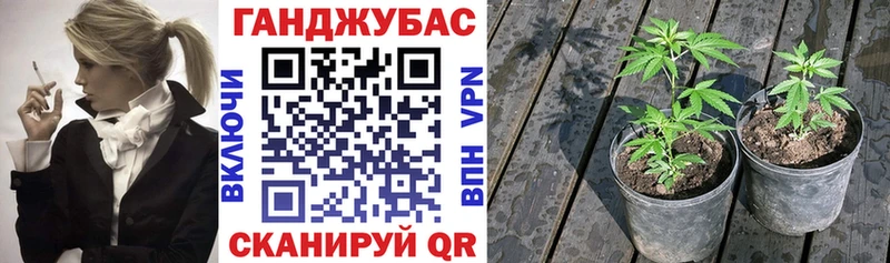 как найти наркотики  мега маркетплейс  Бошки Шишки гибрид  Сельцо 